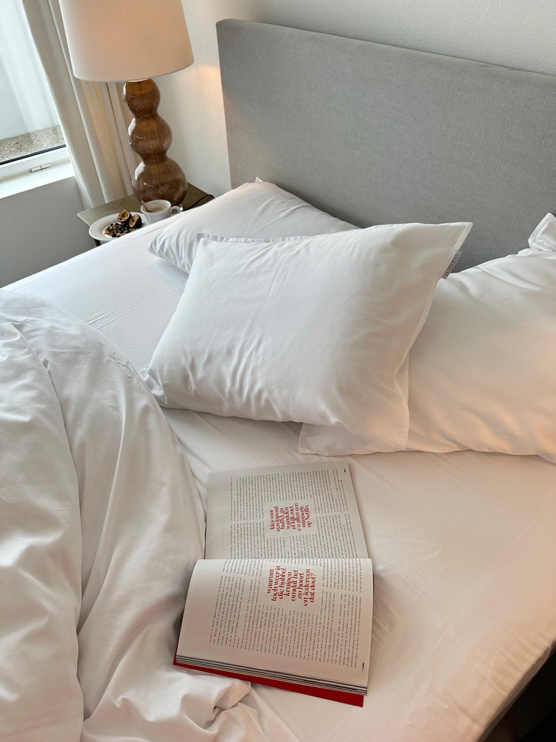Flat sheet / Head sheet